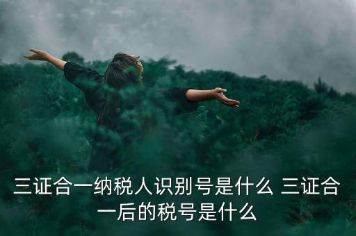 三證合一后稅號是什么，三證合一納稅人識別號是什么 三證合一后的稅號是什么