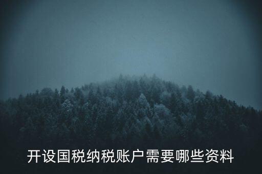 開國稅都需要帶什么資料，開設(shè)國稅納稅賬戶需要哪些資料