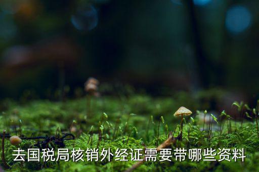 核銷外經(jīng)證地稅那做什么，去國稅局核銷外經(jīng)證需要帶哪些資料