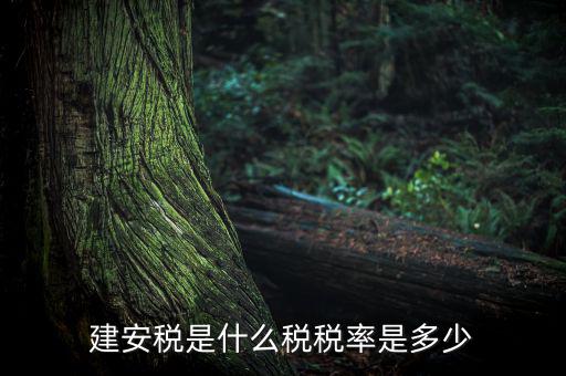 建安稅按什么征，營改增后建安稅稅種稅率有哪些