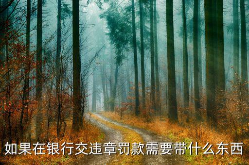銀行端查詢繳款需帶什么，銀行端查詢繳稅業(yè)務(wù)如何辦理