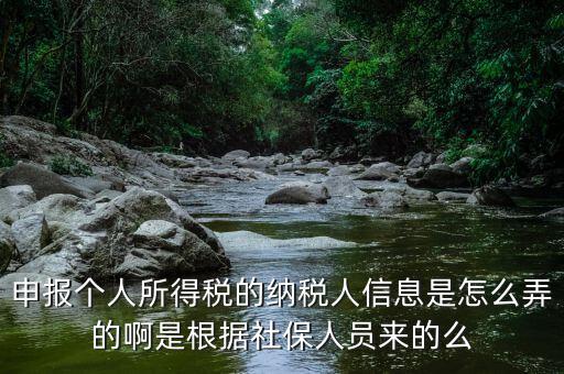 納稅人信息包括什么，申報個人所得稅的納稅人信息是怎么弄的啊是根據(jù)社保人員來的么