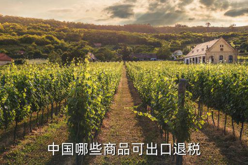 什么貨物出口可以退稅，中國(guó)哪些商品可出口退稅
