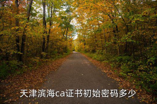 天津ca密碼是什么意思，天津社保卡初始密碼是多少啊 我是中國銀行的