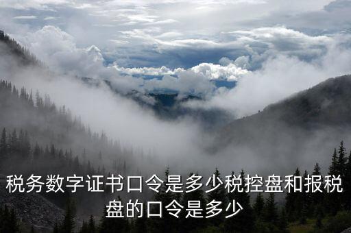 稅務數(shù)字證書口令是多少稅控盤和報稅盤的口令是多少