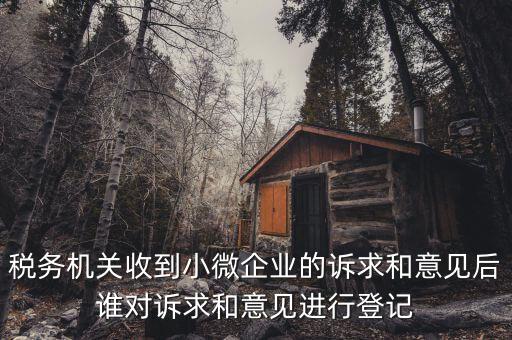 稅務機關(guān)收到小微企業(yè)的訴求和意見后誰對訴求和意見進行登記