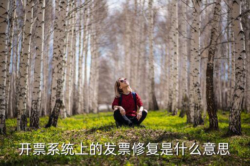 發(fā)票修復(fù)是什么意思，開票系統(tǒng)上的發(fā)票修復(fù)是什么意思