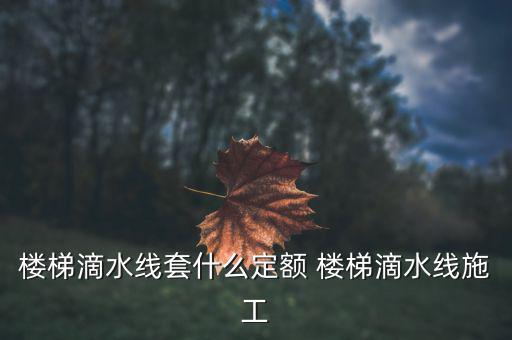江蘇滴水套什么定額，滴水線套什么定額