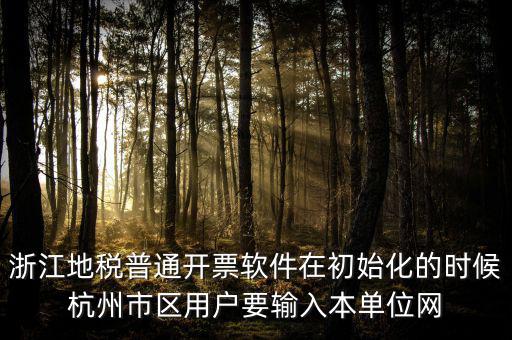 浙江網(wǎng)上稅務(wù)局的注冊碼是什么，浙江地稅因特網(wǎng)辦稅服務(wù)系統(tǒng)注冊碼過期