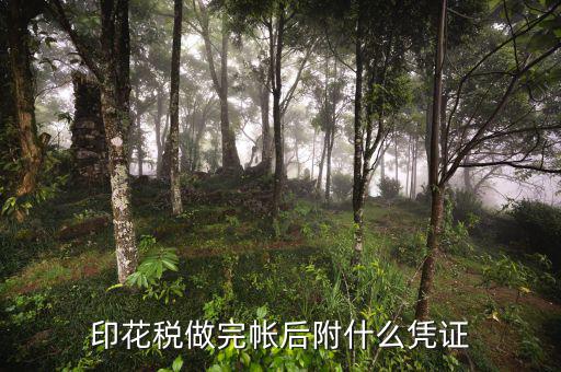 印花稅完稅憑證是什么，印花稅做完帳后附什么憑證