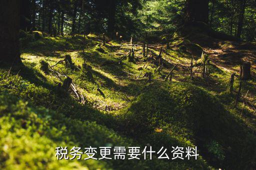 稅務機構改革需要什么，稅務變更需要什么資料