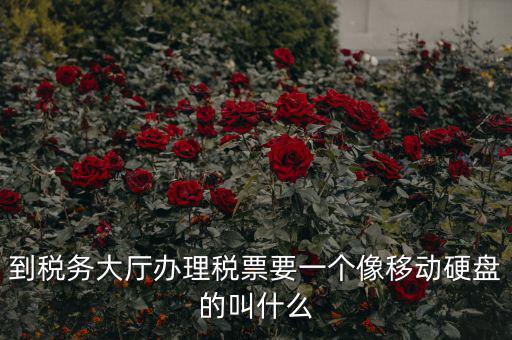 稅務(wù)磁盤什么樣，我要正確的答案