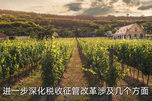 稅務(wù)改革 發(fā)展要什么，論述個人所得稅改革的基本原則