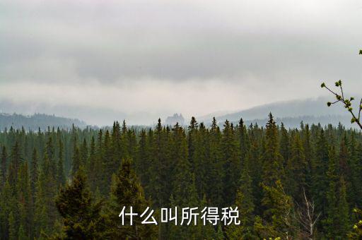 居民企業(yè)所得稅是什么，居民企業(yè)所得稅月度預(yù)繳納稅申報收入指什么時候的