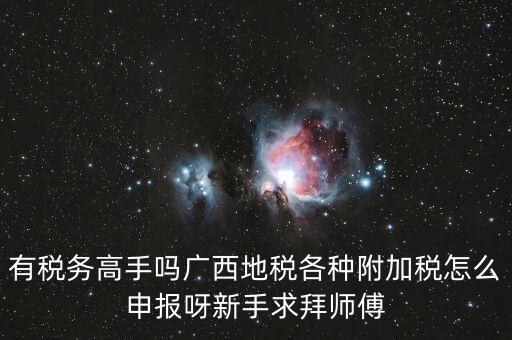 廣西地稅每個月要申報什么內(nèi)容，有稅務(wù)高手嗎廣西地稅各種附加稅怎么申報呀新手求拜師傅