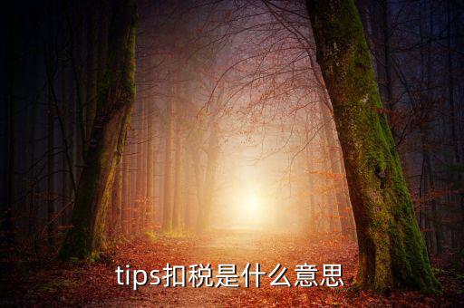 國(guó)稅tips系統(tǒng)指什么意思，電子對(duì)賬單上摘要一欄寫有tips是什么意思