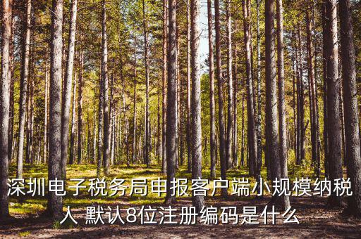 深圳納稅人編號是什么，什么是深圳市國稅百元開頭發(fā)票的納稅人識別號