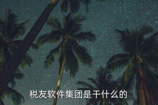 稅友軟件是干什么的，稅友的稅友軟件集團(tuán)