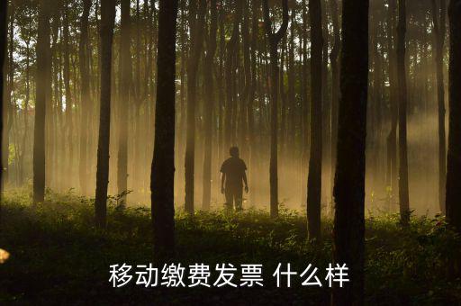 移動電子發(fā)票什么樣，移動繳費發(fā)票 什么樣