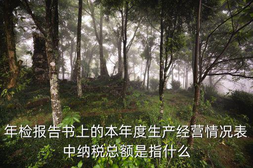 年報的納稅額看什么表，年檢報告書上的本年度生產(chǎn)經(jīng)營情況表中納稅總額是指什么