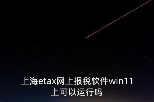 上海網(wǎng)上報(bào)稅什么軟件，上海etax網(wǎng)上報(bào)稅軟件win11上可以運(yùn)行嗎