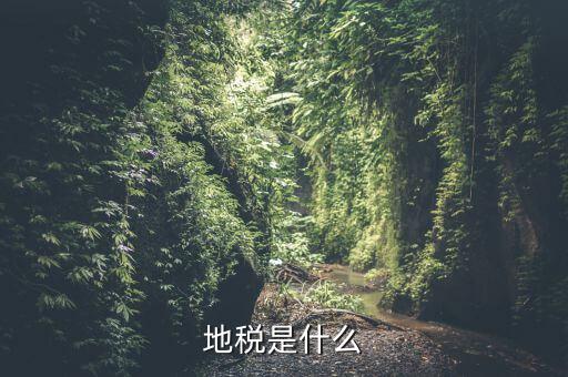 地稅初心是什么，初心使命指的是什么