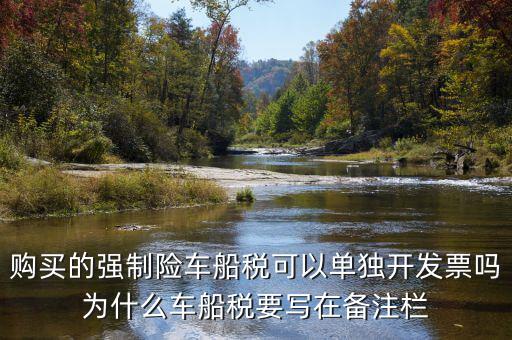 保險車船稅為什么在發(fā)票備注欄，購買的強制險車船稅可以單獨開發(fā)票嗎為什么車船稅要寫在備注欄