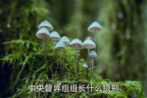 稅務督導組組長什么級別，縣委縣政府督察組組長行政級別具體工作是什么