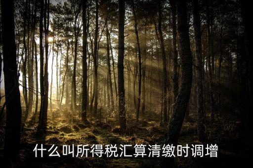 匯算清繳調(diào)增指什么，匯算清繳時(shí)全額調(diào)增利息支出說非業(yè)務(wù)往來占用資金是什么意思