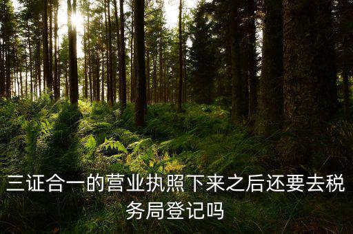 辦完三證合一 要去稅局做什么，三證合一后還需要去國地稅做些什么啊