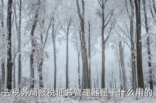 地稅證書(shū)管理網(wǎng)是什么，去稅務(wù)局報(bào)稅證書(shū)管理器是干什么用的