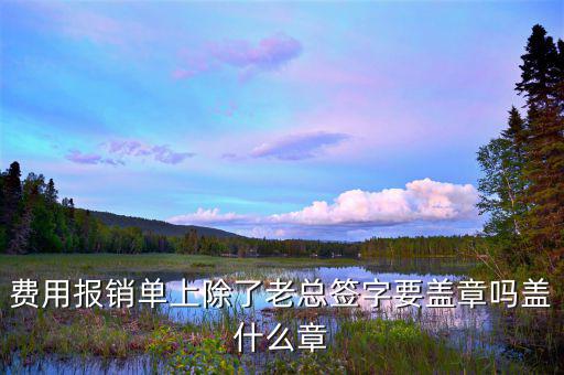 報銷單據里面蓋什么章，報銷入院記錄要蓋什么章