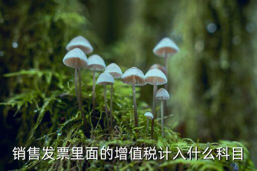 發(fā)票稅金入什么科目，開票稅金計入什么科目