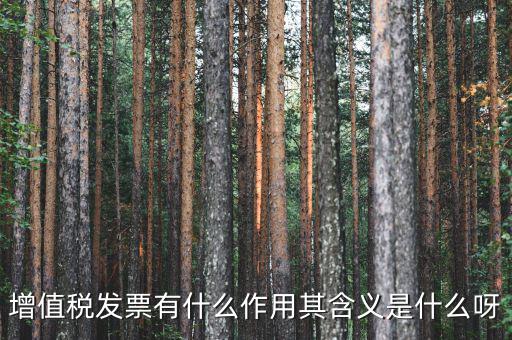 要發(fā)票有什么用，發(fā)票有哪些作用呢