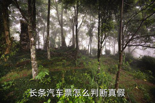 長條國稅車票什么樣子，國稅長途汽車票什么樣