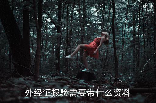 外經(jīng)證報驗(yàn)需要帶什么資料