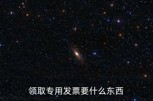 領(lǐng)取專(zhuān)用發(fā)票要什么東西