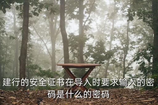 建行的安全證書(shū)在導(dǎo)入時(shí)要求輸入的密碼是什么的密碼