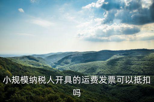 什么樣的運(yùn)費(fèi)票可以抵，運(yùn)輸費(fèi)增值稅都能用什么票抵扣