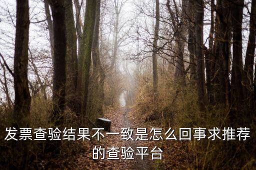 發(fā)票查驗(yàn)結(jié)果不一致是怎么回事求推薦的查驗(yàn)平臺