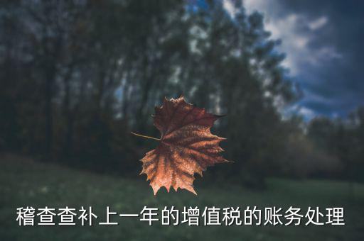 稽查補什么稅，請問被國稅局稽查局查處補交增值稅所得稅及滯納金計入應哪個科目