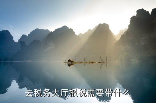 去地稅大廳解決欠稅問題需帶什么資料及文件，去稅務(wù)大廳查詢公司欠的增值稅需帶啥資料