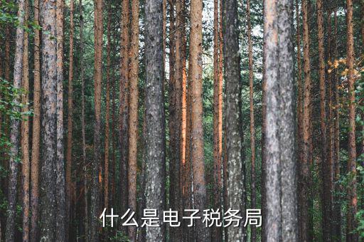 國稅網廳是什么意思，什么是電子稅務局