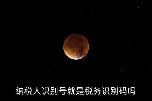 稅務標識符是什么意思，納稅人識別碼是什么