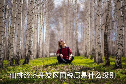 仙桃稅務(wù)局局長(zhǎng)是什么級(jí)別，仙桃經(jīng)濟(jì)開(kāi)發(fā)區(qū)國(guó)稅局是什么級(jí)別