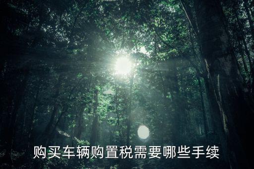 購(gòu)買(mǎi)車(chē)輛購(gòu)置稅需要哪些手續(xù)