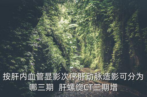 為什么要做三期增強，按肝內血管顯影次序肝動脈造影可分為哪三期  肝螺旋CT三期增
