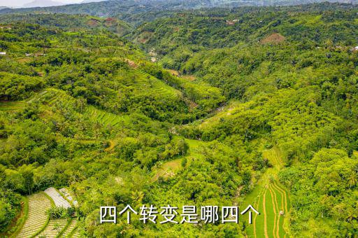 四個轉(zhuǎn)變是什么   稅收，詳細介紹一下四種流轉(zhuǎn)稅