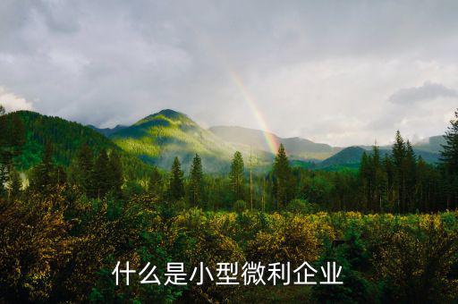 什么叫小型微利企業(yè)，什么是小型微利企業(yè)