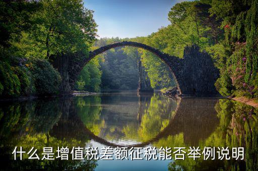小規(guī)模增值稅差額征收什么意思，什么是增值稅差額征稅